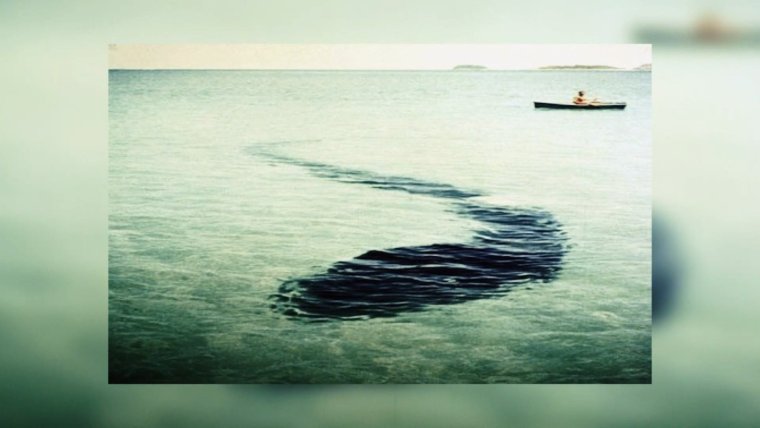 Карадагское чудовище в Крыму Карадагский змей монстр