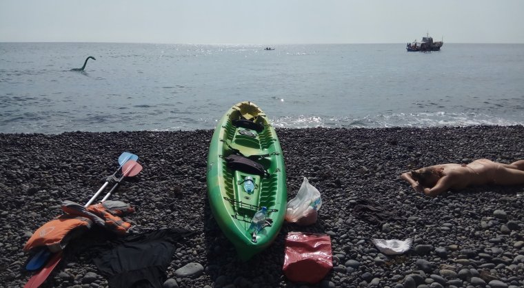 Коктебель Карадагский змей