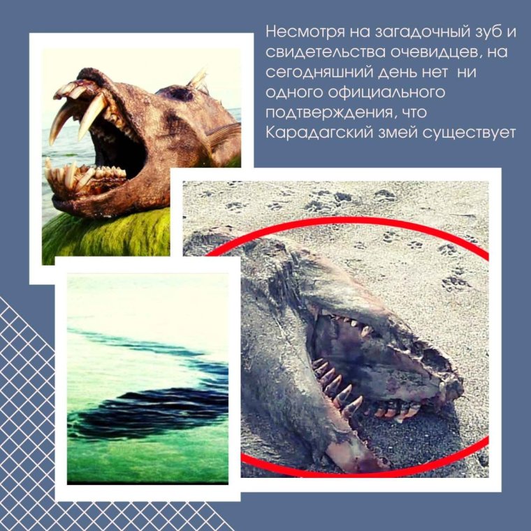 Карадагский змей в Крыму