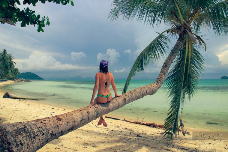 Пляж море пальмы девушки