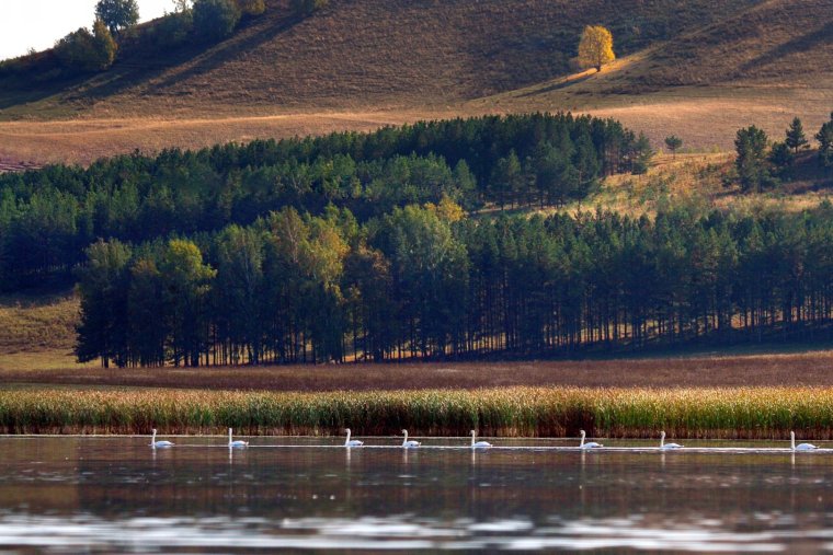 Озеро Хасан Каменск Уральский