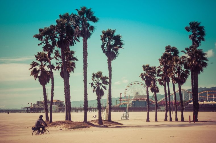 Лос Анджелес Калифорния пальмы парк