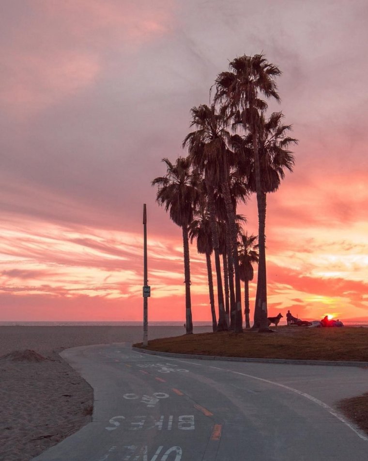 Лос Анджелес aesthetic