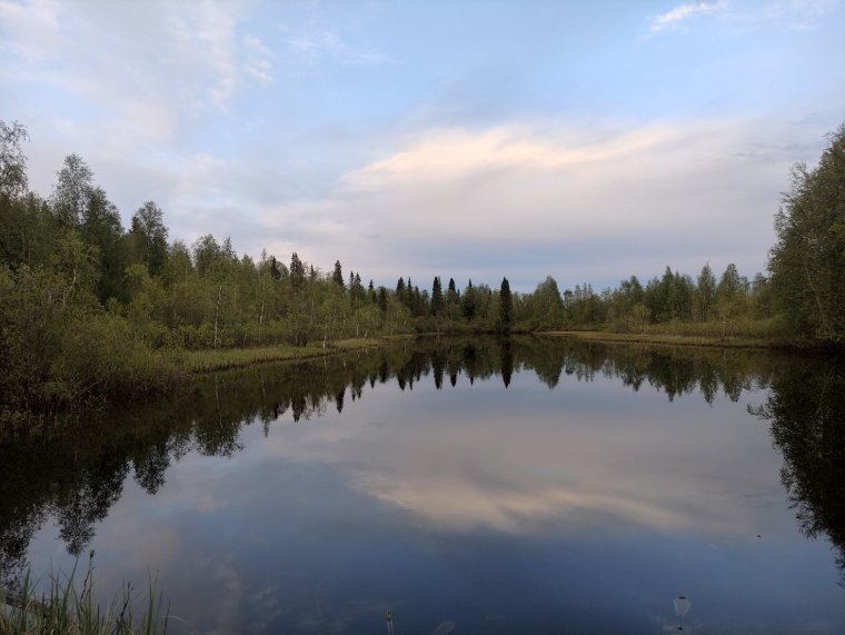 Озеро Старица Оренбург