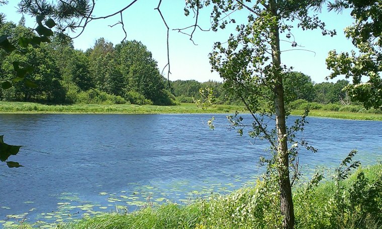 Большое озеро в Беларуси рядом со станцией