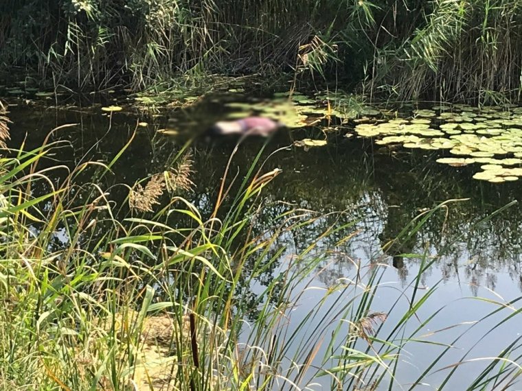 Озеро Старица