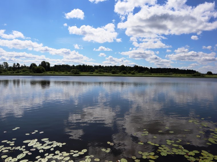 Озеро Старица Новосибирск