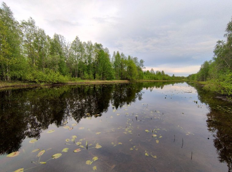 Оз. Старица Ляуданское