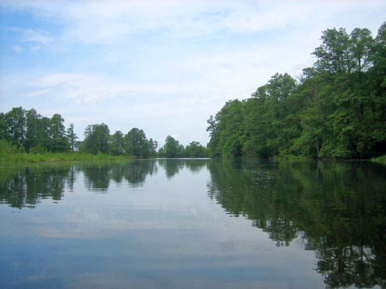 Старица водоем