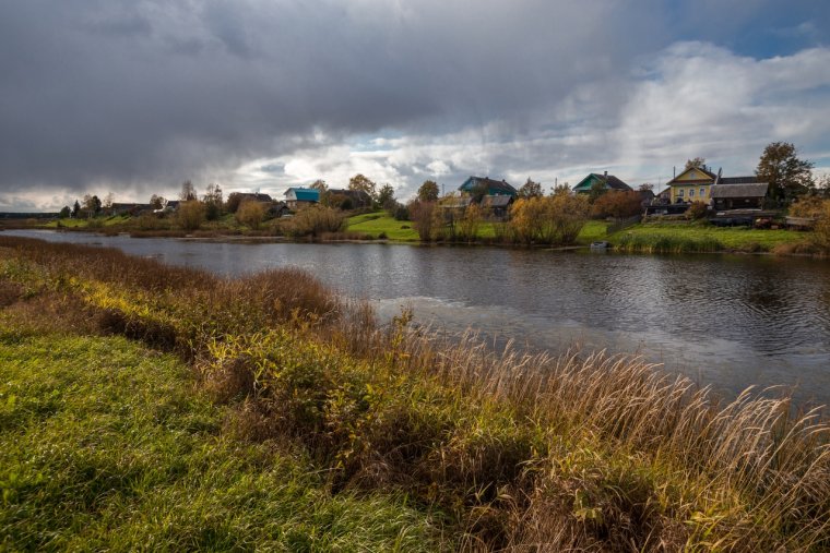 Пойма Старица