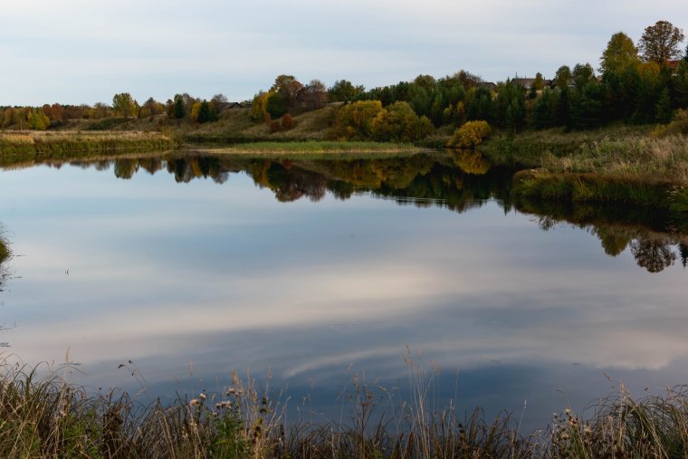 Старица реки