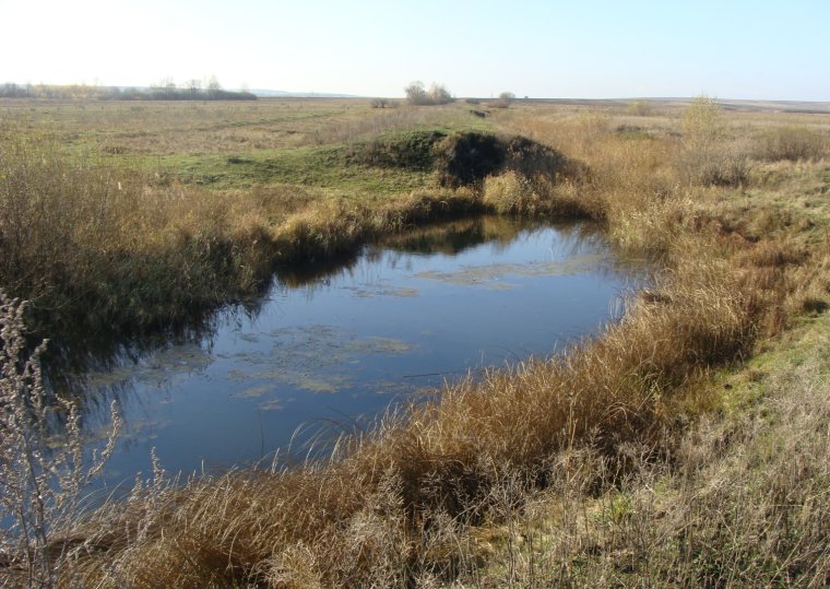 Старица в пойме реки