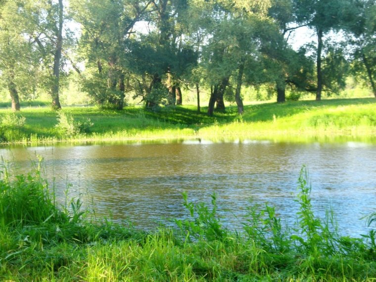Озеро Старица Новосибирск