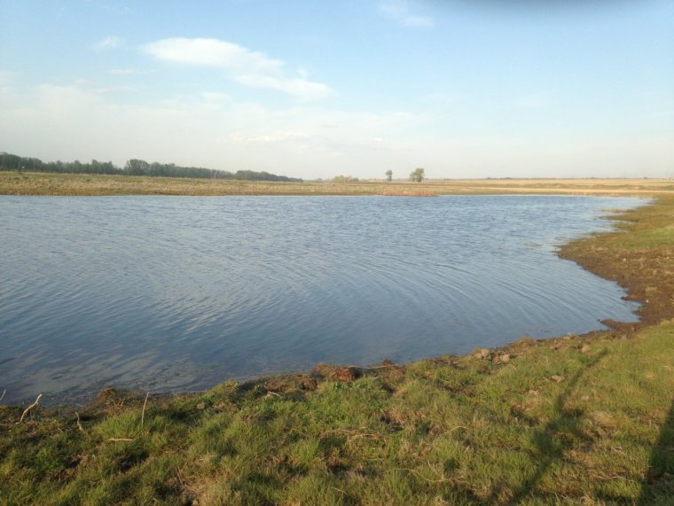 Село Калманка Алтайский край